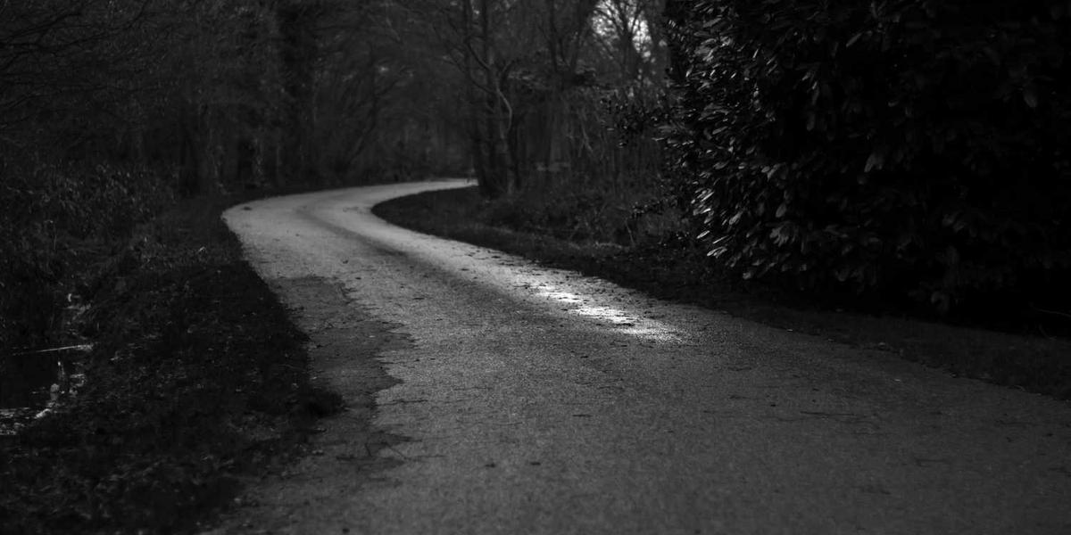 Test hero image for lightbox article